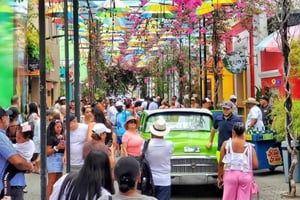 Puerto Plata: Landschaft, Schmetterlingsfarm und Affenbeobachtung