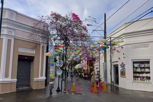 Puerto Plata: Countryside tour with Monkey Home, butterflies, and coffee