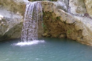 Puerto Plata: Half-Day Damajagua Waterfalls Adventure