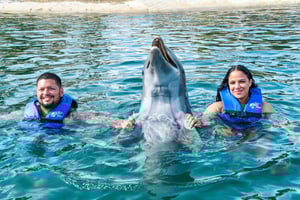 Puerto Plata : Parc d'aventures Ocean World Nager avec les dauphins