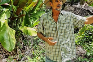 Puerto Plata: Taino Valley och dominikansk smakupplevelse