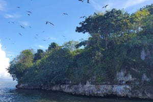 Puerto Plata: Tour to Los Haitises, Caves, and Cayo Levantado with Lunch