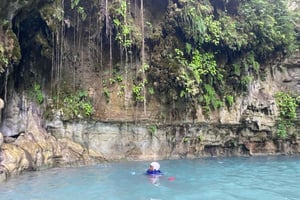 Puerto Plata: observasjon av primater i naturen og botanisk fottur