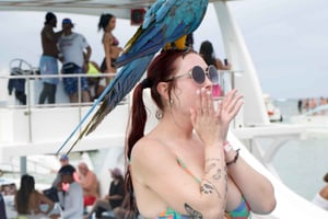 Punta Cana Booze Cruise, Schnorcheln mit Sandbar