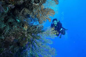 Punta Cana: Catalina Island Scuba Diving Day Trip