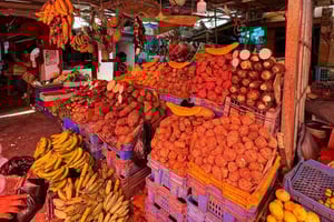 Punta Cana Cultural Tour History and Traditions Small Group