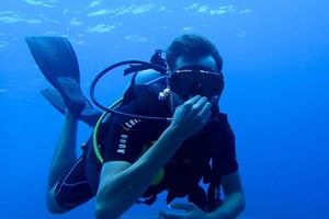 Punta Cana: Dive the Coral Paradise of Catalina Island