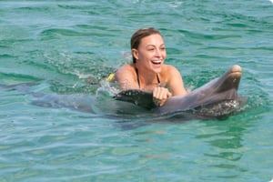 Punta Cana: Oplevelse med delfiner