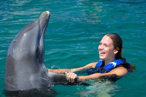 Punta Cana: Dolphin Explorer svømmer og interaksjoner