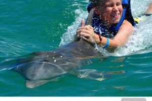 Punta Cana: Adgang til Dolphin Park og svømning med delfiner