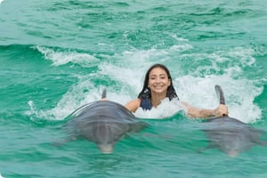 Punta Cana: Kunglig simtur med delfiner