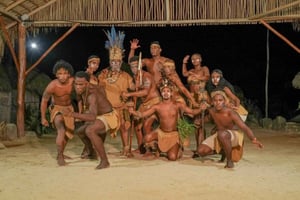 Punta Cana : soirée en buggy, baignade dans un cénote, dîner et spectacle