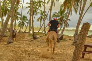 Punta Cana: Haitises, Montaña R. og ridetur på Limón Beach