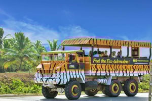 Punta Cana: Higüey City Tour with Basilica & Market Visit