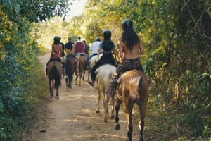 Punta Cana ridning & solnedgång + strand + gratis upphämtning