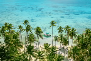 Punta Cana: Isla Saona Premium, Mano Juan e spiaggia esclusiva