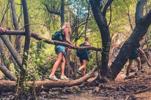 プンタ カナ：ロス ハイティセス ハイキング & カヤック マングローブ