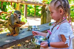 Punta Cana: Puolen päivän seikkailumatkapäivä Monkey Landissa