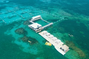 プンタ・カナリーフ・エクスプローラー・アクセス（サメ＆アカエイ・スイム付き