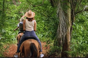 Punta Cana: Samaná Day Trip with El Limón Waterfall