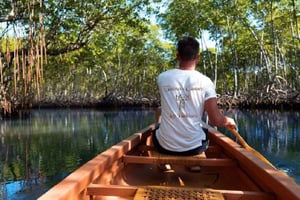 Punta Cana: Samanán niemimaa ja Cayo Levantado -päiväretki