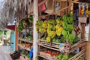 Punta Cana: Safari em Samana entre cascatas e praias