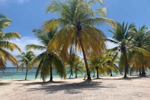 Punta Cana: Isla Saona Premium 3 rantaa