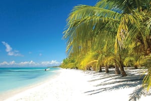 Punta Cana: Excursão de lancha e catamarã à Ilha Saona