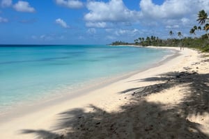 Punta Cana : escapade VIP en hors-bord privé sur l'île de Saona