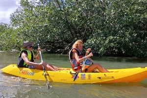 Samaná: wycieczka 1-dniowa do Los Haitises z rejsem i kajakiem o zachodzie słońca