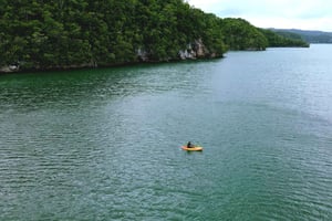 Samana: Private Los Haitises Expedition Caves & Mangroves