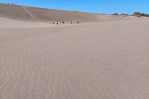 Santo Domingo: sandboarding nel deserto di Salinas e snorkeling
