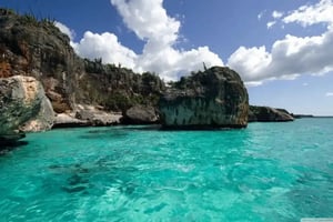 Saona Island: Exclusive Tour with Lunch