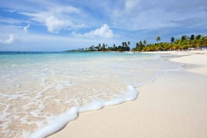 Saona-eiland vanuit Punta Cana: Excursie naar een exclusief strand