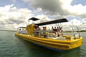 Wyspa Saona łodzią podwodną i nurkowanie z rurką.