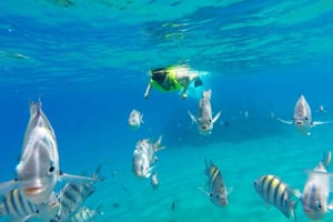 Snorkletur og dag på Sosua-stranden