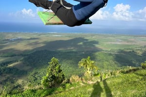 Osservazione balene e safari a Montaña Redonda