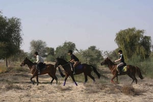 1 o 1,5 ore di passeggiata a cavallo nel parco del deserto di Dubai