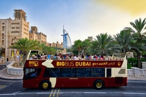 5-Day Pass: Hop-On Hop-Off, Lost World Aquarium, Dubai Frame