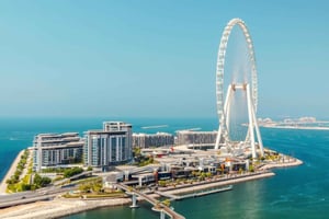 Dubai: Ain Dubai Wheel, Blue Mosque & Half-Day Guided Tour
