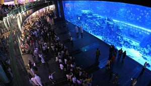 Dubai Aquarium and Underwater Zoo