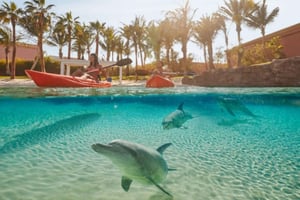 Dubai: Aquaventure World -vesipuiston päivälippu ja kajakki delfiinien kanssa