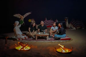 Dubai: Evening Desert Safari with Camel Ride & Stargazing