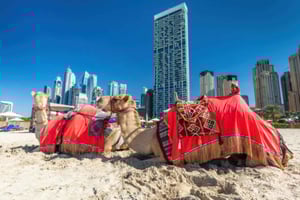 Dubai: Guidet kamelridning på JBR Beach med udsigt over skyline