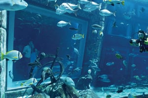 Dubai: Lost World Aquarium Atlantis -sukelluselämyksesi