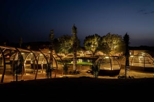 Dubai: luxe safari met een 4-gangendiner samengesteld door een Michelin-chef