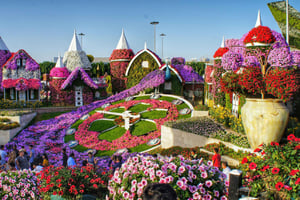 Dubai: Privé Dubai Flora en Fauna Reis