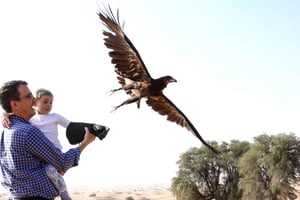 Dubai: safari privato di falconeria