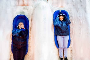 Дубай: Ski Dubai Snow Plus Pass