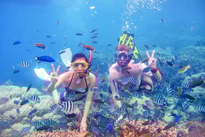 De Viagem de snorkeling a Dibba Al-Fujairah